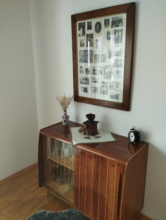 Apartmani Gruzdovo Delnice Kültér fotó