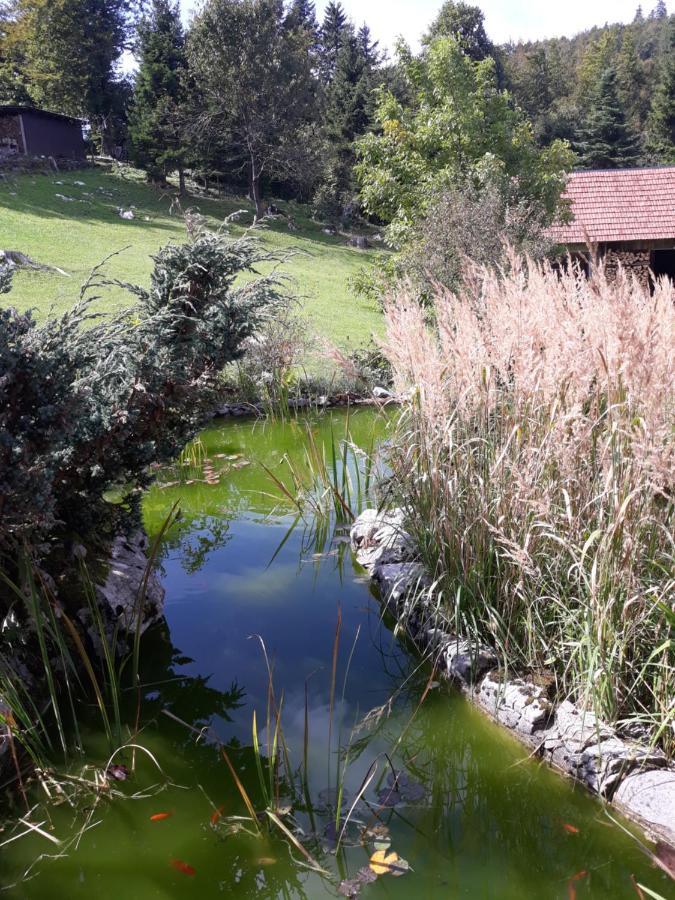 Apartmani Gruzdovo Delnice Kültér fotó