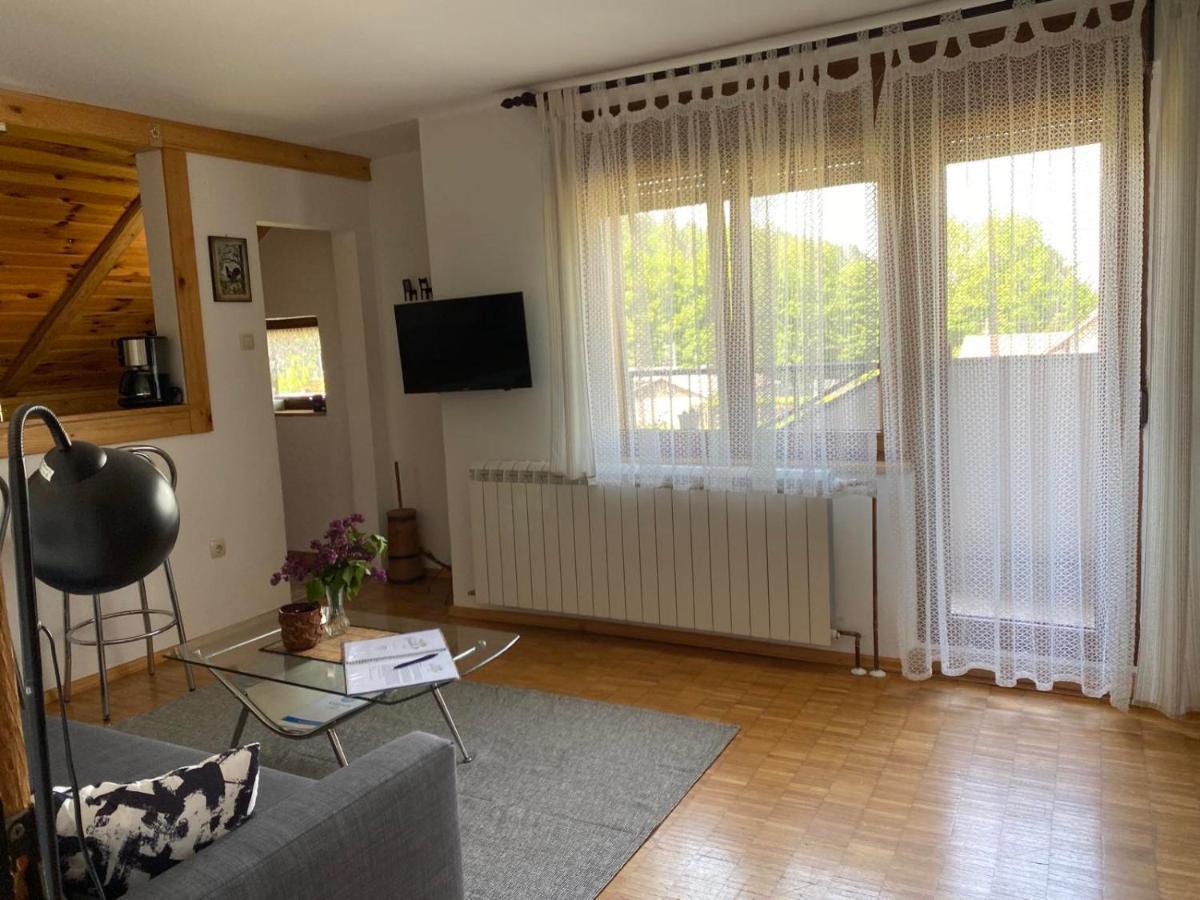 Apartmani Gruzdovo Delnice Kültér fotó