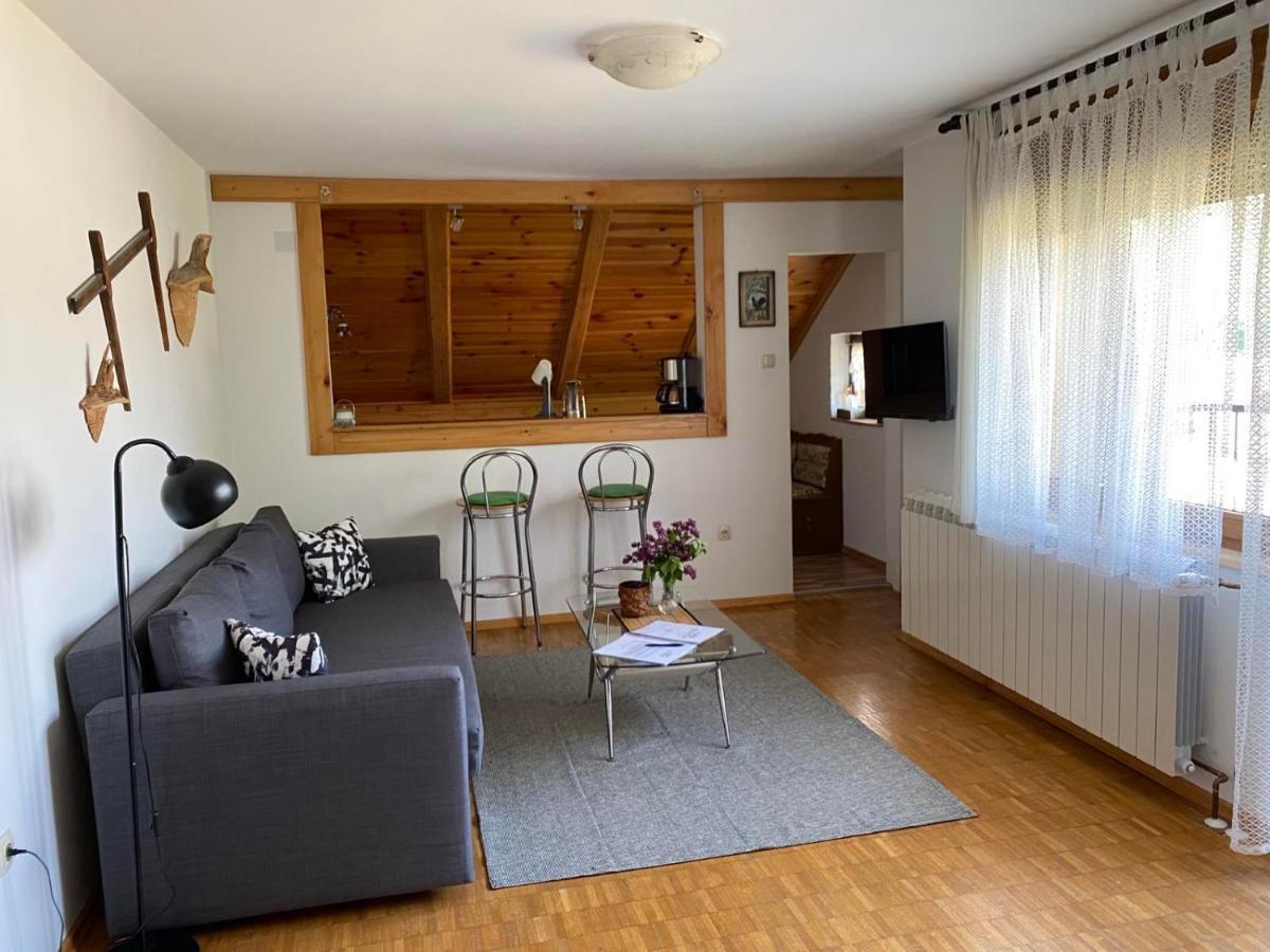Apartmani Gruzdovo Delnice Kültér fotó