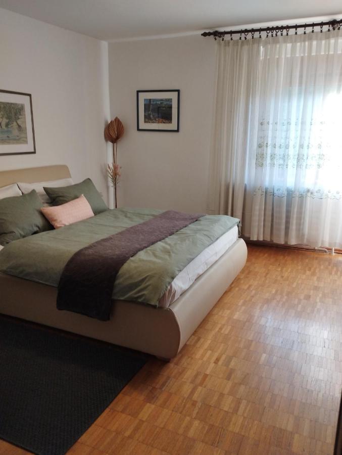 Apartmani Gruzdovo Delnice Kültér fotó